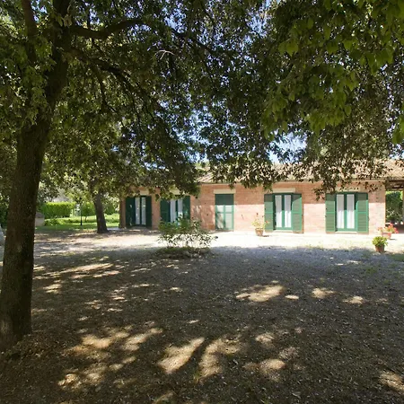 Lantställe Razza Del Casalone Grosseto