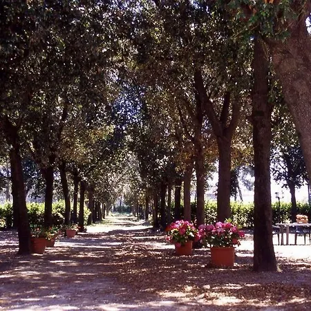 Razza Del Casalone * Grosseto