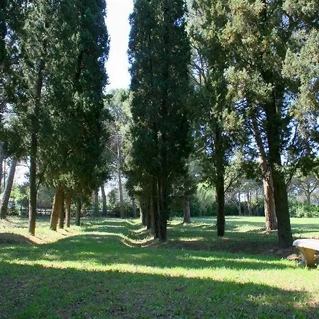 Razza Del Casalone *